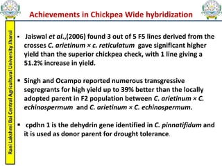 Rani
Lakshmi
Bai
Central
Agricultural
University
Jhansi
Achievements in Chickpea Wide hybridization
 Jaiswal et al.,(2006) found 3 out of 5 F5 lines derived from the
crosses C. arietinum × c. reticulatum gave significant higher
yield than the superior chickpea check, with 1 line giving a
51.2% increase in yield.
 Singh and Ocampo reported numerous transgressive
segregrants for high yield up to 39% better than the locally
adopted parent in F2 population between C. arietinum × C.
echinospermum and C. arietinum × C. echinospermum.
 cpdhn 1 is the dehydrin gene identified in C. pinnatifidum and
it is used as donor parent for drought tolerance.
 