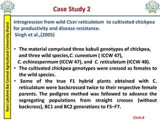 Rani
Lakshmi
Bai
Central
Agricultural
University
Jhansi
Case Study 2
• The material comprised three kabuli genotypes of chickpea,
and three wild species,C. cuneatum ( ICCW 47),
C. echinospermum (ICCW 47), and C. reticulatum (ICCW 48).
• The cultivated chickpea genotypes were crossed as females to
the wild species.
• Some of the true F1 hybrid plants obtained with C.
reticulatum were backcrossed twice to their respective female
parents. The pedigree method was followed to advance the
segregating populations from straight crosses (without
backcross), BC1 and BC2 generations to F5–F7.
Introgression from wild Cicer reticulatum to cultivated chickpea
for productivity and disease resistance.
Singh et al.,(2005)
Cont.d
 