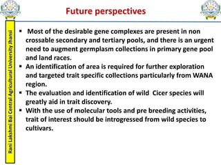 Rani
Lakshmi
Bai
Central
Agricultural
University
Jhansi Future perspectives
 Most of the desirable gene complexes are present in non
crossable secondary and tertiary pools, and there is an urgent
need to augment germplasm collections in primary gene pool
and land races.
 An identification of area is required for further exploration
and targeted trait specific collections particularly from WANA
region.
 The evaluation and identification of wild Cicer species will
greatly aid in trait discovery.
 With the use of molecular tools and pre breeding activities,
trait of interest should be introgressed from wild species to
cultivars.
 