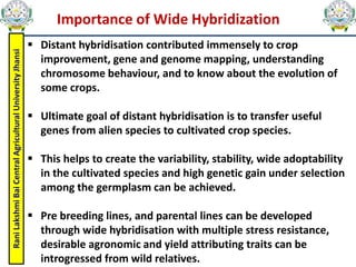 Rani
Lakshmi
Bai
Central
Agricultural
University
Jhansi
Importance of Wide Hybridization
 Distant hybridisation contributed immensely to crop
improvement, gene and genome mapping, understanding
chromosome behaviour, and to know about the evolution of
some crops.
 Ultimate goal of distant hybridisation is to transfer useful
genes from alien species to cultivated crop species.
 This helps to create the variability, stability, wide adoptability
in the cultivated species and high genetic gain under selection
among the germplasm can be achieved.
 Pre breeding lines, and parental lines can be developed
through wide hybridisation with multiple stress resistance,
desirable agronomic and yield attributing traits can be
introgressed from wild relatives.
 