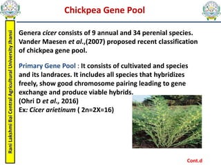 Rani
Lakshmi
Bai
Central
Agricultural
University
Jhansi Chickpea Gene Pool
Genera cicer consists of 9 annual and 34 perenial species.
Vander Maesen et al.,(2007) proposed recent classification
of chickpea gene pool.
Primary Gene Pool : It consists of cultivated and species
and its landraces. It includes all species that hybridizes
freely, show good chromosome pairing leading to gene
exchange and produce viable hybrids.
(Ohri D et al., 2016)
Ex: Cicer arietinum ( 2n=2X=16)
Cont.d
 
