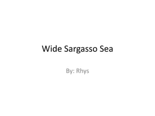 Wide Sargasso Sea By: Rhys 