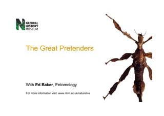 The Great Pretenders




With Ed Baker, Entomology
For more information visit: www.nhm.ac.uk/naturelive
 
