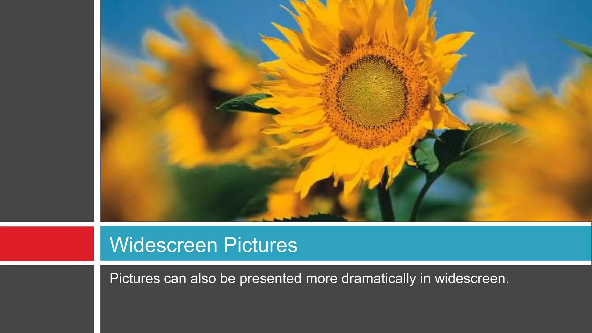 Pictures can also be presented more dramatically in widescreen.Widescreen Pictures