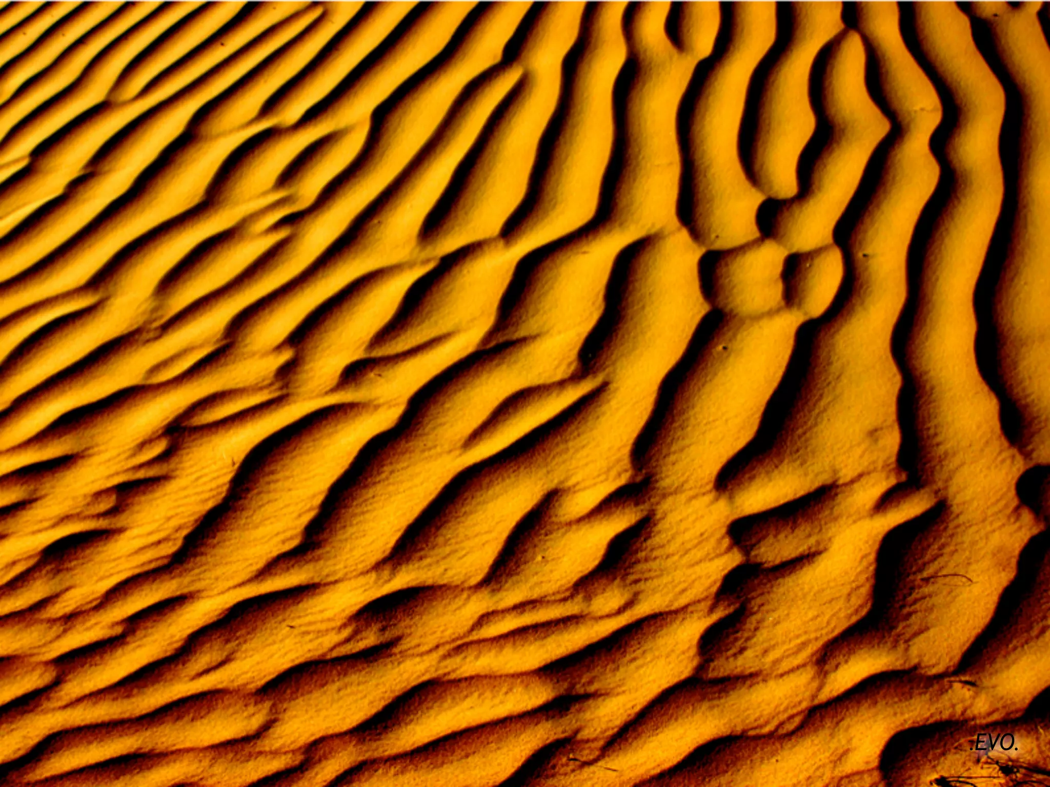 WideTag At Picnic08: The Social Energy Meter Announcement