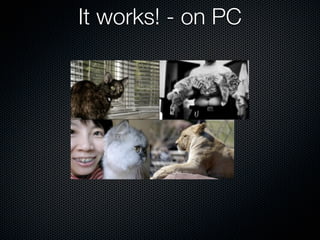 Hello Cats: MobileWidgetCamp talk about mobile widgets