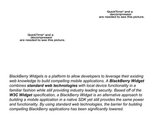 BlackBerry Widgets is a platform to allow developers to leverage their existing web knowledge to build compelling mobile applications. A  BlackBerry Widget  combines  standard web technologies  with local device functionality in a familiar fashion while still providing industry leading security. Based off of the  W3C Widget  specification, a BlackBerry Widget is an alternative approach to building a mobile application in a native SDK yet still provides the same power and functionality. By using standard web technologies, the barrier for building compelling BlackBerry applications has been significantly lowered. 