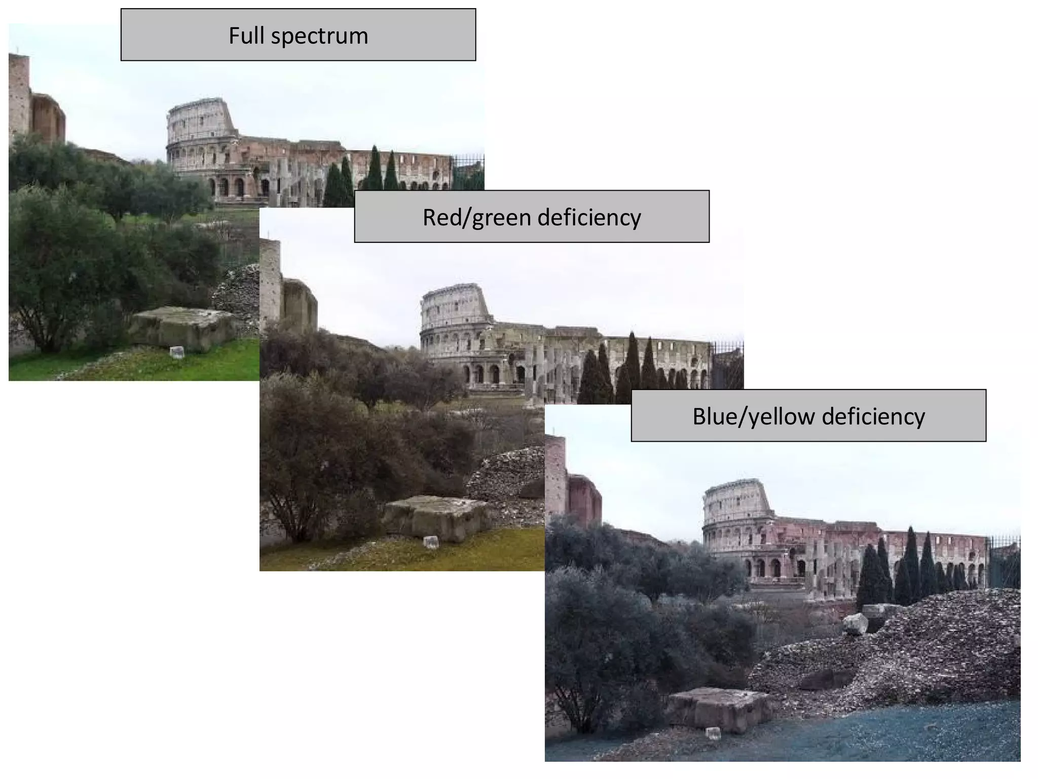 Full spectrum Red/green deficiency Blue/yellow deficiency 