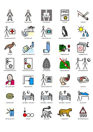 hip spica 2.emf            hip spica.emf             hip x-ray.emf                hnd.emf                 hold.emf




 hospital worker.emf         hot water.emf            hotel worker.emf        humboldt penguin.emf          humid.emf




       ibis.emf          inhaler side effects.emf        inhaler.emf             insectivore.emf         intelligence.emf




intermediate level.emf   introductory level.emf         iron base.emf           irresponsible.emf       islamophobia.emf




   john paull ii.emf         keep clear.emf          kitchen worker.emf         kosher food.emf              lamb.emf




    landmine.emf          last rights - iman.emf    last rights - rabbi.emf   last rights - vicar.emf       lay out.emf




   left hip pain.emf             left.emf                 lemur.emf               leopard.emf           life threatening.emf
 