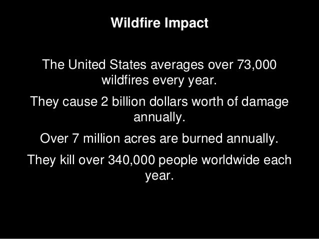 Prepare For and Survive a WILDFIRE | PPTX