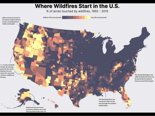 Prepare For and Survive a WILDFIRE | PPTX