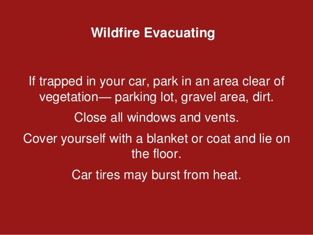 Prepare For and Survive a WILDFIRE | PPTX