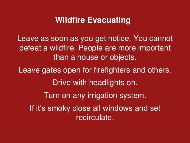 Prepare For and Survive a WILDFIRE | PPTX