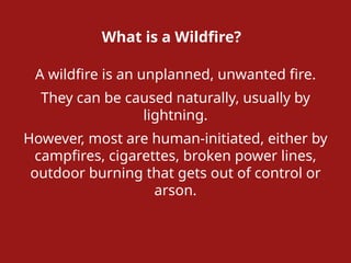 Prepare For, live through, and Survive a WILDFIRE | PPTX
