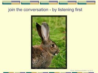join the conversation - by listening first
Flickr Attribution Rabbit by D-32
 