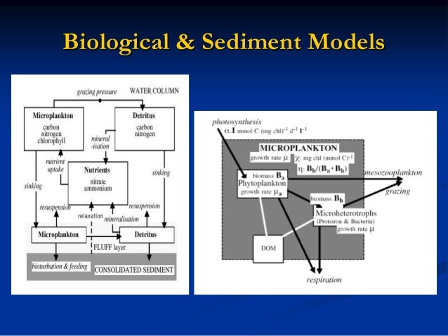 Tutorial COHERENS Coupled Hidrodynamic & Ecologycal Model 