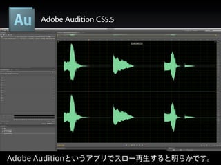 Adobe Audition CS5.5