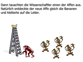 Dann tauschten die Wissenschaftler einen der Affen aus.  Natürlich entdeckte der neue Affe gleich die Bananen und kletterte auf die Leiter.  
