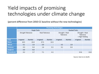 Yield impacts of promising
technologies under climate change
Promising Technologies
Single Traits Stacked Traits
Drought T...