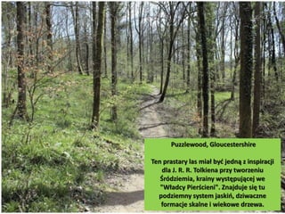 Puzzlewood, Gloucestershire
Ten prastary las miał być jedną z inspiracji
dla J. R. R. Tolkiena przy tworzeniu
Śródziemia, krainy występującej we
"Władcy Pierścieni". Znajduje się tu
podziemny system jaskiń, dziwaczne
formacje skalne i wiekowe drzewa.
 