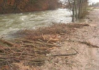 Wiese Maulburg bei ablaufendem Hochwasser Dez. 2011