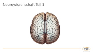 Neurowissenschaft Teil 1
 