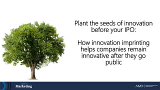 Plant the seeds of innovation
before your IPO:
How innovation imprinting
helps companies remain
innovative after they go
public
 