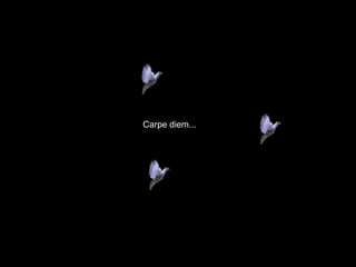 Carpe diem... 