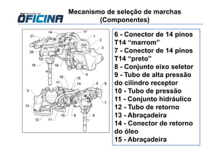 6 - Conector de 14 pinos
T14 “marrom”
7 - Conector de 14 pinos
T14 “preto”
8 - Conjunto eixo seletor
9 - Tubo de alta pressão
do cilindro receptor
10 - Tubo de pressão
11 - Conjunto hidráulico
12 - Tubo de retorno
13 - Abraçadeira
14 - Conector de retorno
do óleo
15 - Abraçadeira
Mecanismo de seleção de marchas
(Componentes)
 