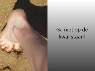 Ga niet op de kwal staan! 