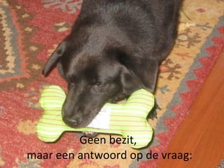 Geen bezit,  maar een antwoord op de vraag: 