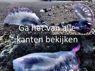 Ga het van alle kanten bekijken 