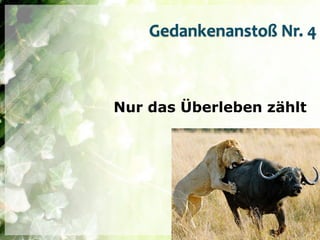 Gedankenanstoß Nr. 4



Nur das Überleben zählt
 