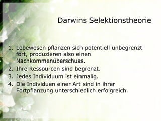 Darwins Selektionstheorie


1. Lebewesen pflanzen sich potentiell unbegrenzt
   fort, produzieren also einen
   Nachkommenüberschuss.
2. Ihre Ressourcen sind begrenzt.
3. Jedes Individuum ist einmalig.
4. Die Individuen einer Art sind in ihrer
   Fortpflanzung unterschiedlich erfolgreich.
 