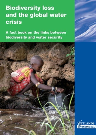 Biodiversity loss
and the global water
crisis
A fact book on the links between
biodiversity and water security
 