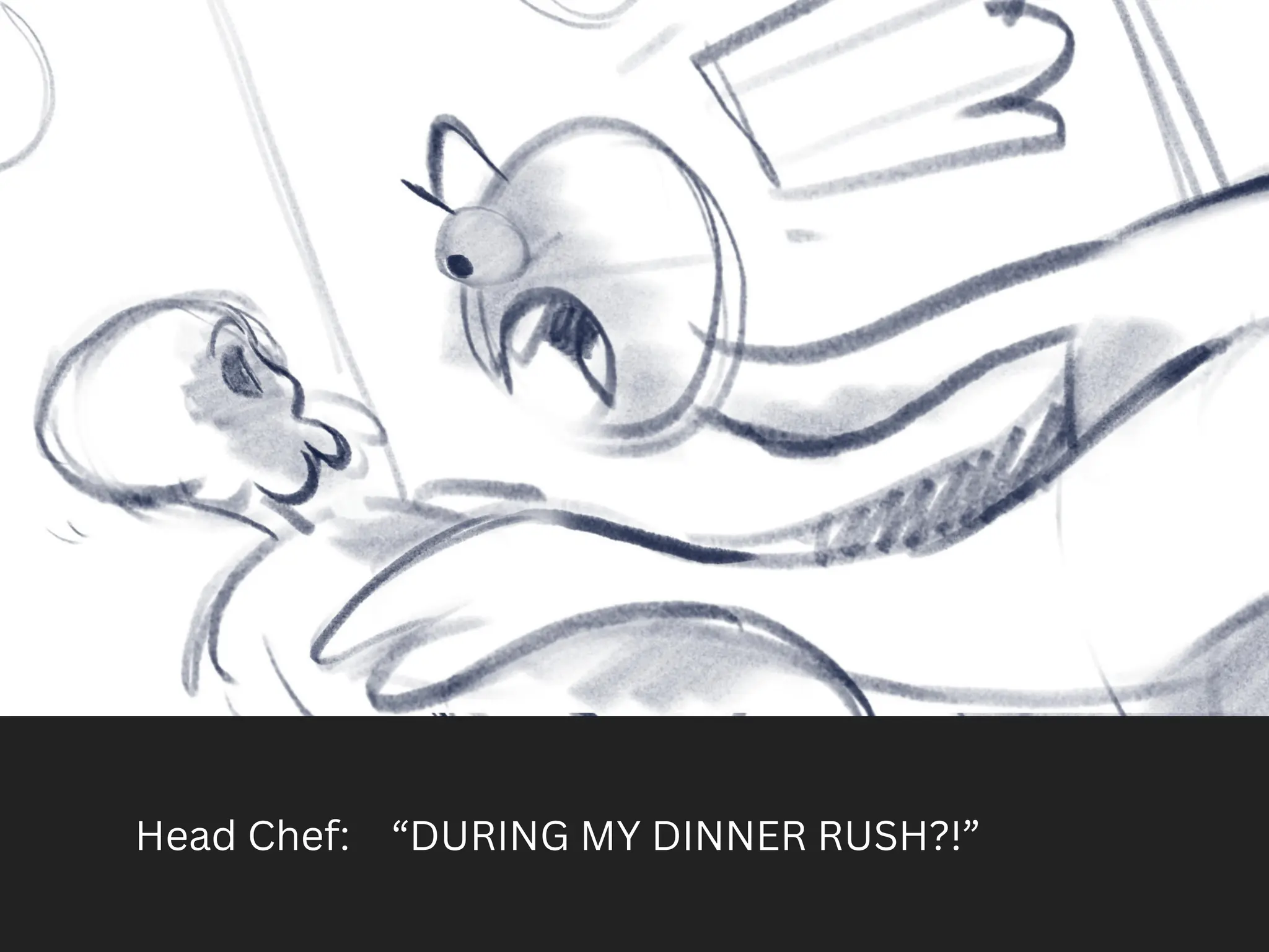 Head Chef: “DURING MY DINNER RUSH?!”
 