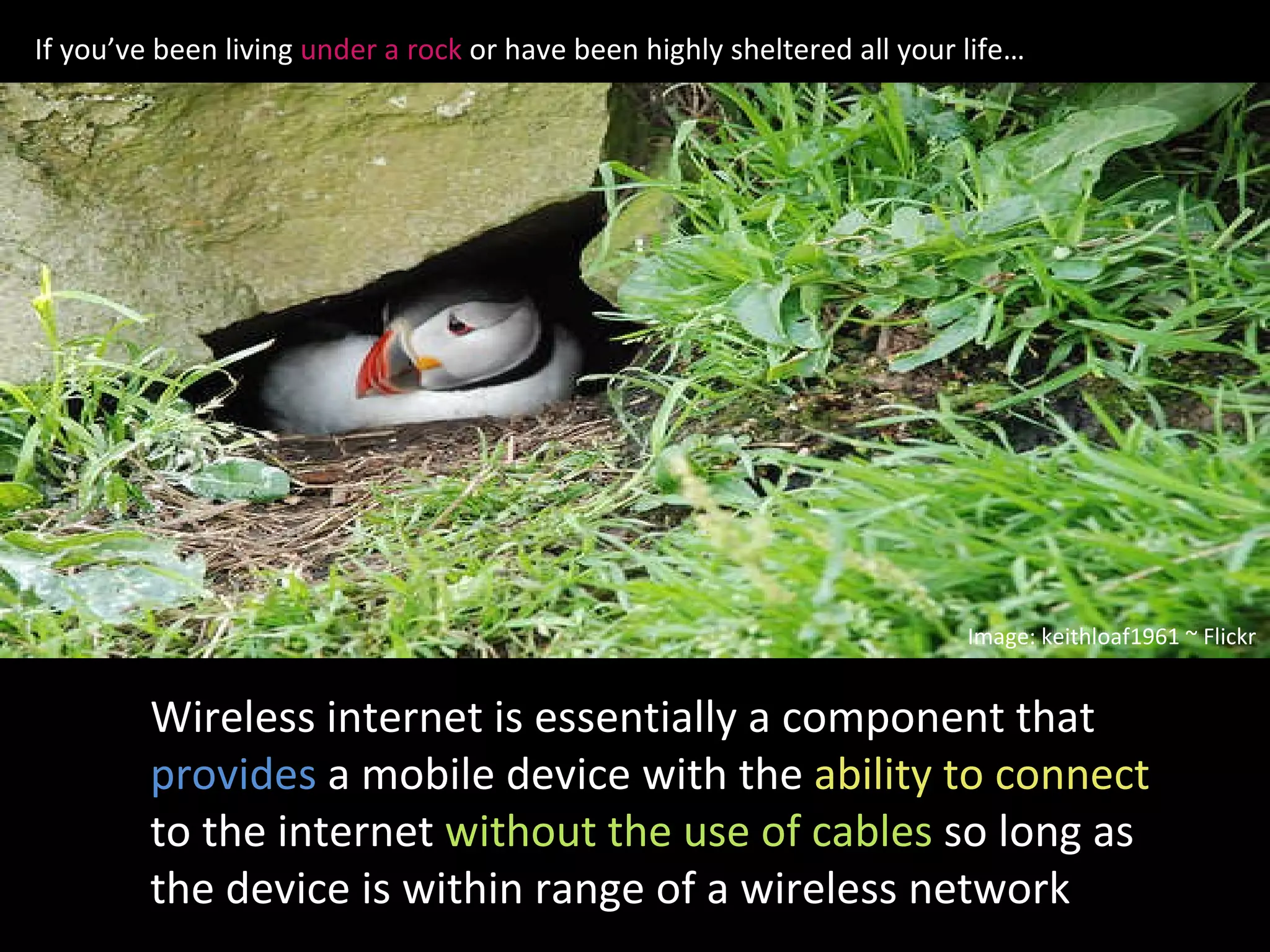 If you’ve been living  under a rock  or have been highly sheltered all your life… Wireless internet is essentially a component that  provides  a mobile device with the  ability to connect  to the internet  without the use of cables   so long as the device is within range of a wireless network Image: keithloaf1961 ~ Flickr 