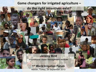 Game changers for irrigated agriculture –
do the right incentives exist?
Jeremy Bird
International Water Management Institute
1st World Irrigation Forum
Mardin, Turkey, 29 September 2013
 