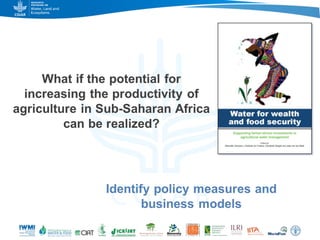 Game changers for irrigated agriculture –  do the right incentives exist?