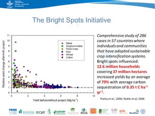 Game changers for irrigated agriculture –  do the right incentives exist?