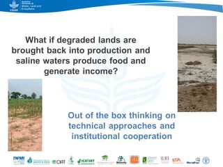 Game changers for irrigated agriculture –  do the right incentives exist?