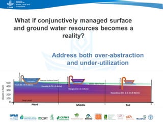 Game changers for irrigated agriculture –  do the right incentives exist?