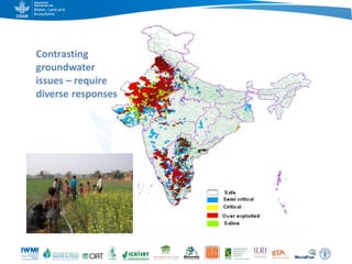 Game changers for irrigated agriculture –  do the right incentives exist?