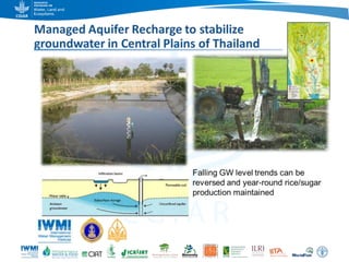 Game changers for irrigated agriculture –  do the right incentives exist?