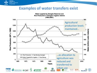 Game changers for irrigated agriculture –  do the right incentives exist?