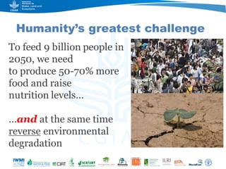 Game changers for irrigated agriculture –  do the right incentives exist?