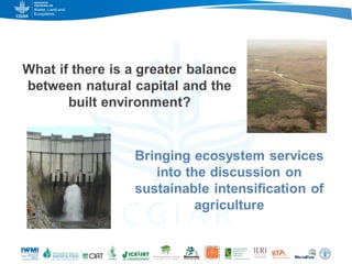 Game changers for irrigated agriculture –  do the right incentives exist?