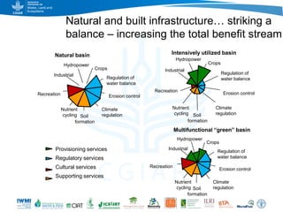 Game changers for irrigated agriculture –  do the right incentives exist?