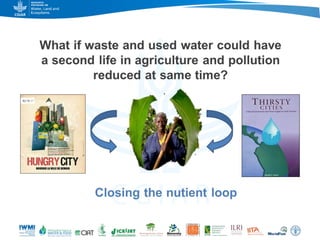 Game changers for irrigated agriculture –  do the right incentives exist?