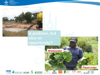 Game changers for irrigated agriculture –  do the right incentives exist?